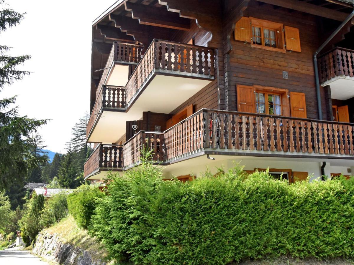 Apartment Colline 8 By Interhome Champex-Lac Kültér fotó